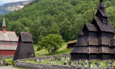 Хотели, които приемат домашни любимци, в Borgund