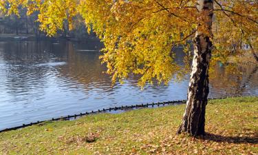 Готелі з парковкою у місті Poniatowa