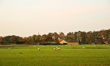 Ferienunterkünfte in Laneffe