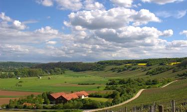 Hotels met Parkeren in Schollbrunn