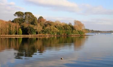 Villas in Drumshanbo