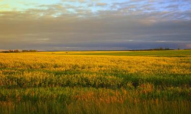 Hoteller i Portage La Prairie