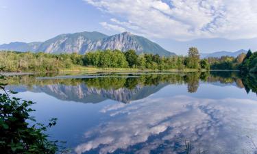 Hôtels acceptant les animaux domestiques à North Bend