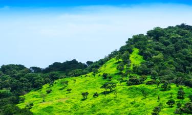 Hoteluri cu parcare în Hacienda Santa María