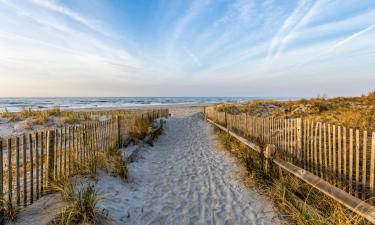 Boliger ved stranden i Longport