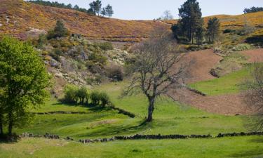 Family Hotels in Sao Pedro de Tomar