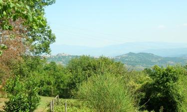 Vacation Rentals in Sassofortino