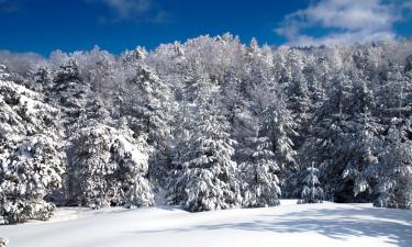 Alquileres vacacionales en Lourtier