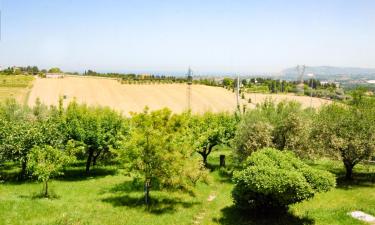 Hotel Keluarga di Santa Maria di Scacciano