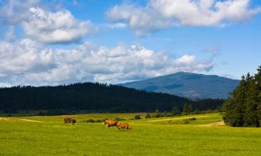 Ferieboliger i Tresna