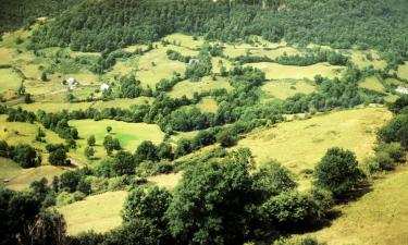 Hotels in Bollezeele