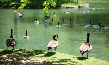 Hoteles con parking en Saint-Pierre-du-Mont