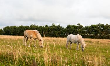 Holiday Homes in Helsinge