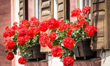 Appartementen in Eimeldingen