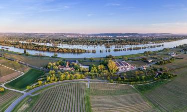 Hotels met Parkeren in Hattenheim