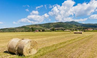 Hotels in Ponte di Piave