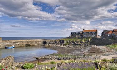 Pet-Friendly Hotels in Craster