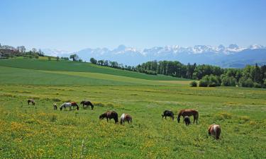 Hoteles familiares en Münsingen