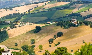 Hoteles económicos en Monte Grimano Terme