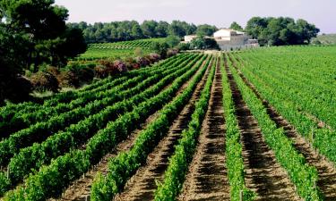 B&Bs in Marsillargues