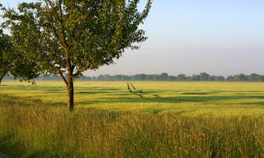 Family Hotels in Erkheim