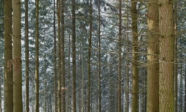 Leiligheter i Gaildorf