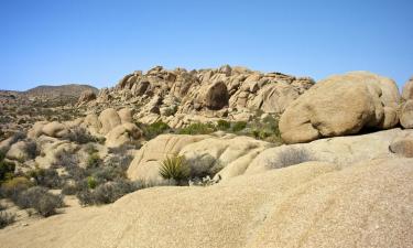 Hoteles en Blythe