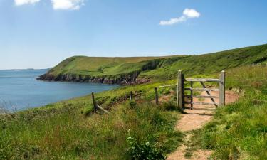 Holiday Homes in Pontfaen