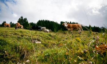 Estâncias de Esqui em Langenegg