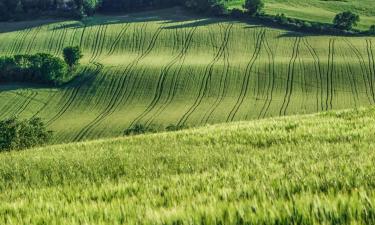 Ferieboliger i San Marcello