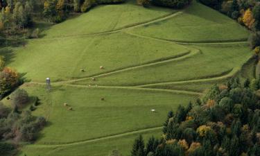 Parkolóval rendelkező hotelek Topolšicában