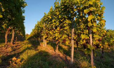 Hoteles con estacionamiento en Saint-Ouen-les-Vignes