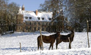 Vakantiewoningen aan het strand in Paray-le-Frésil