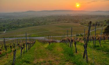 Ξενοδοχεία με πάρκινγκ σε Stetten