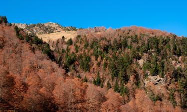 Fjölskylduhótel í Bruniquel