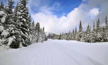 Ski Resorts in Blitzingen