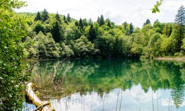 Povoljni hoteli u Selištu Drežničkom