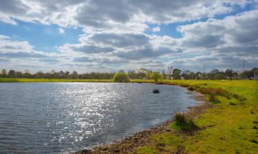 Self-Catering Accommodations in Wimbledon