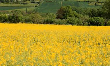 Hoteller i Montceau-les-Mines