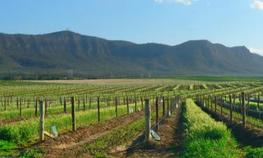 Glamping Sites in Cessnock