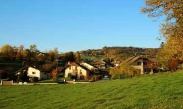 Cottages in Chaunay