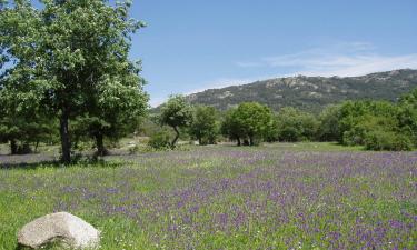 Hotels mit Pools in Vallfogona de Riucorb