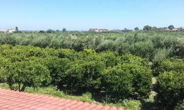 Pet-Friendly Hotels in Mirto Crosia