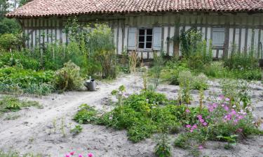 Alquileres temporarios en Saint-Paul-en-Born