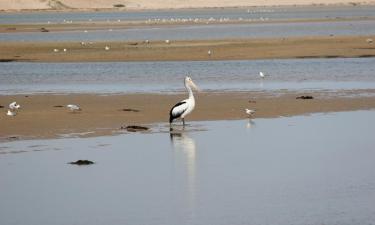 Beach rentals in Gorokan