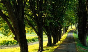 Saint-Bris-des-Bois şehrindeki otoparklar