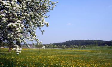 Parkolóval rendelkező hotelek Ursbergben