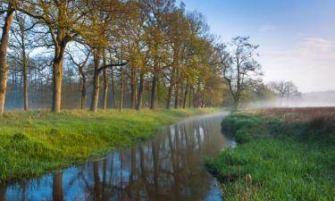 Bed and Breakfasts en Sellingen