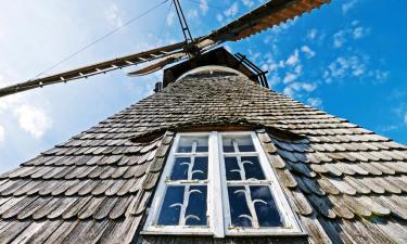 Cottages in Zuidzande