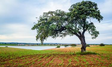 Готелі з парковкою у місті Santa Vitória